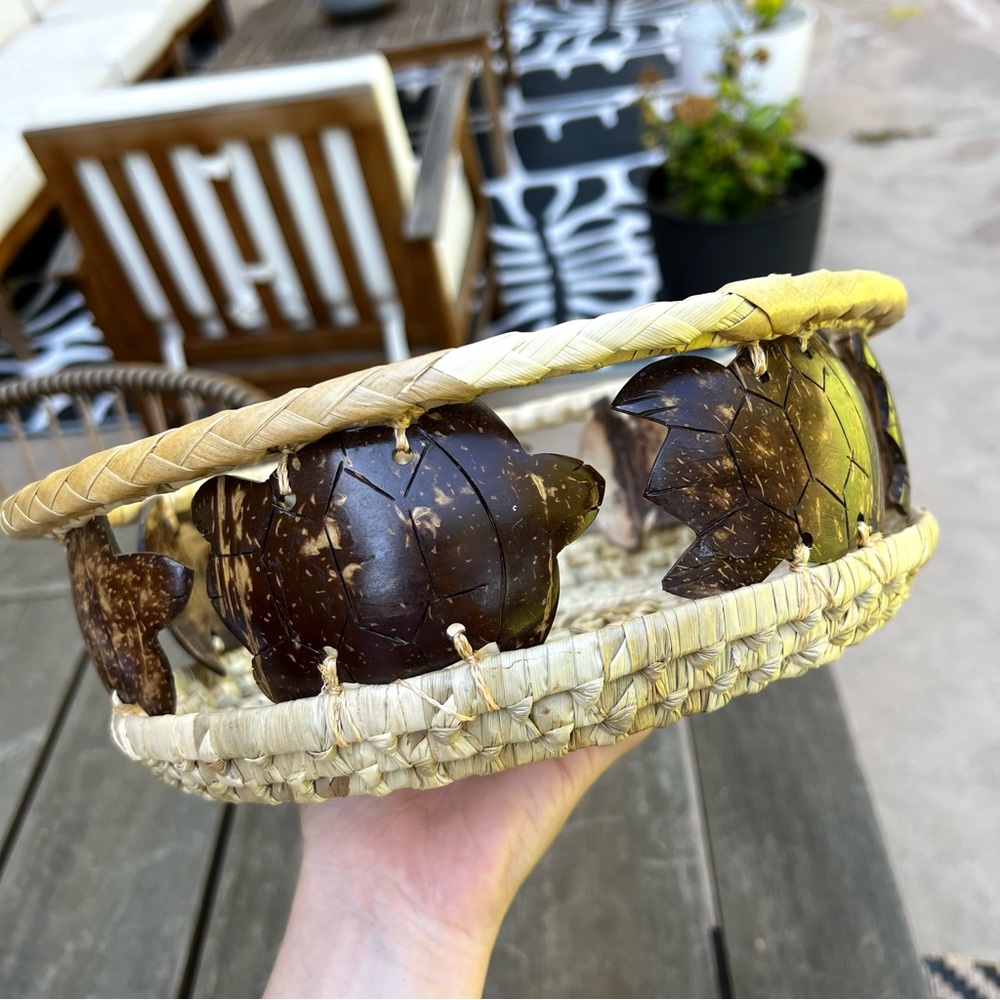 Hand Woven Seagrass Turtle Carved Coconut Shell Round Basket Decorative 11"